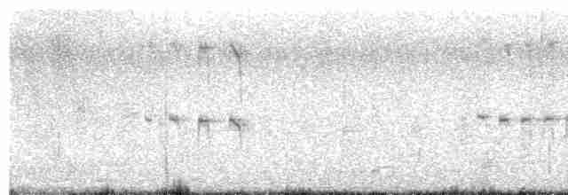 vlhovec červenokřídlý [skupina phoeniceus] - ML567928661