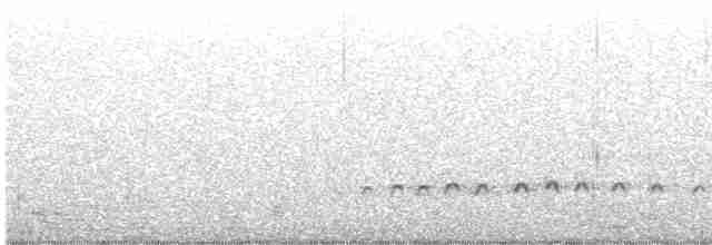 Whimbrel (Hudsonian) - ML567989211