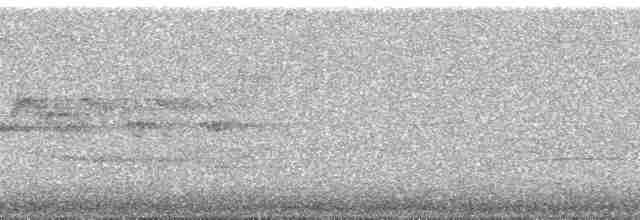 Münzevi Bülbül Ardıcı - ML56800