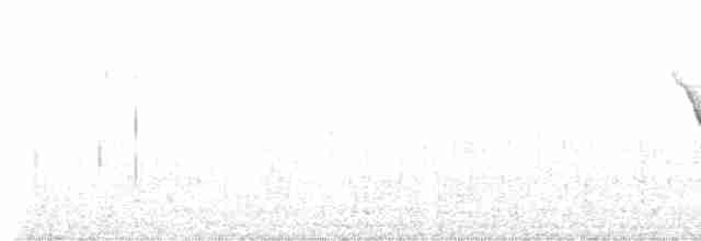 Трясогузковый певун - ML568053631