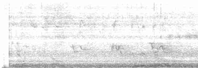 Prairie Warbler - ML568115611