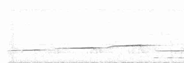 Tordina Coronioscura - ML568134661