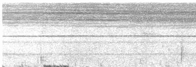 holub černobradý - ML568143201