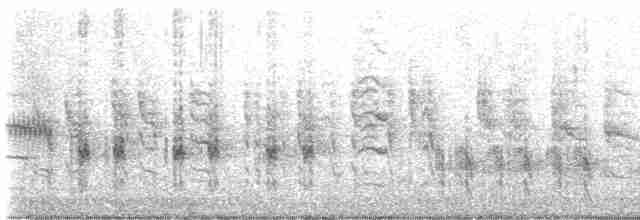 Great Reed Warbler - ML568207281