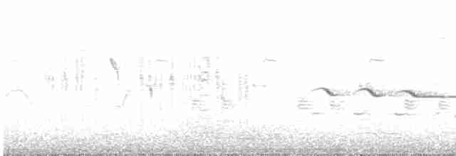 Вівсянка сивоголова - ML568223171