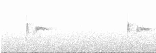 Скальный крапивник - ML568223321