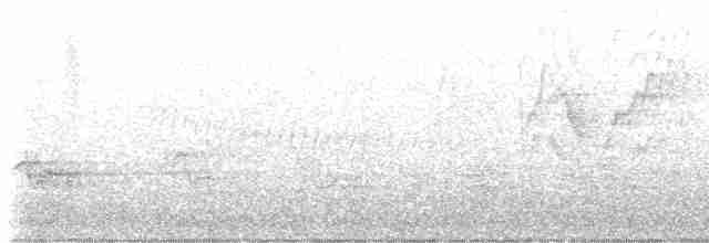Gri Yanaklı Bülbül Ardıcı - ML568237491