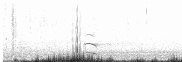 Herring Gull (American) - ML568312521