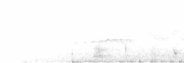 Bar-crested Antshrike - ML568322521