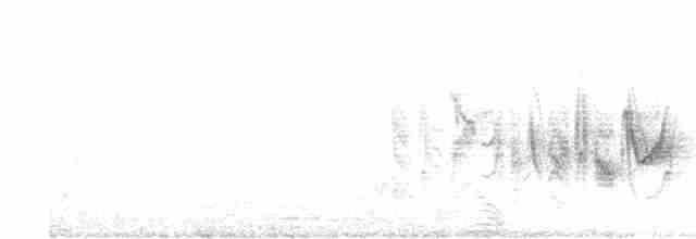 Braunaugenvireo (arizonae) - ML568335441