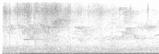 Cerulean Warbler - ML568363631