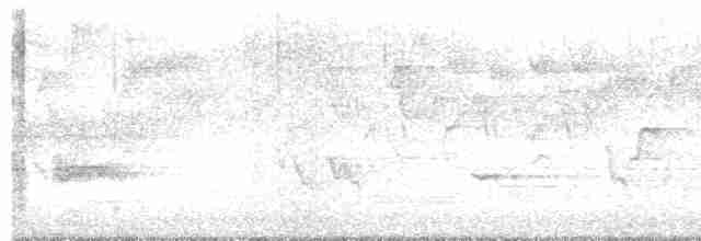 Cerulean Warbler - ML568393881