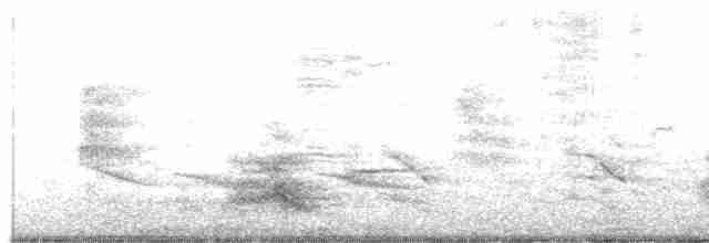 裏海燕鷗 - ML568401811