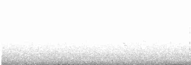 Вівсянка сіра (підвид cineracea) - ML568404251