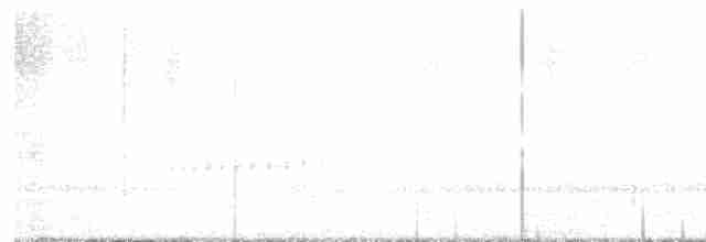 Schwarzkehl-Nachtschwalbe - ML568435521