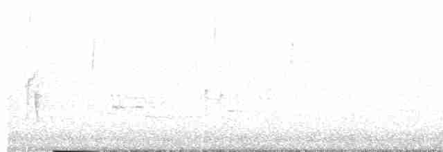 linduška tundrová [skupina rubescens] - ML568436761