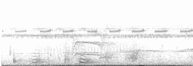Южноамериканский лапчатоног - ML568442531