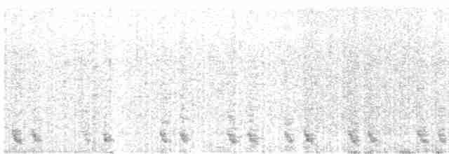 Red-necked Nightjar - ML568443501
