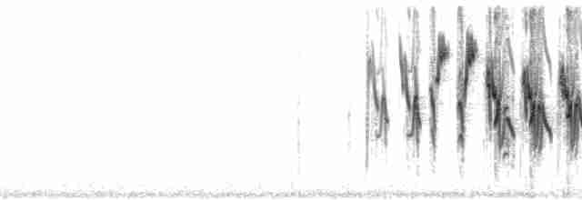 Rostscheitelammer - ML56845