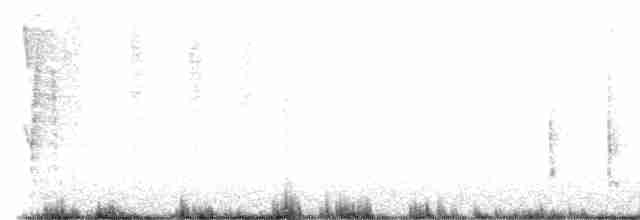 Marsh Wren (paludicola Group) - ML568484921