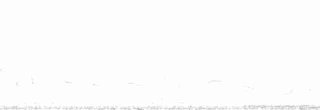 Streifenrückenammer [botterii-Gruppe] - ML56851