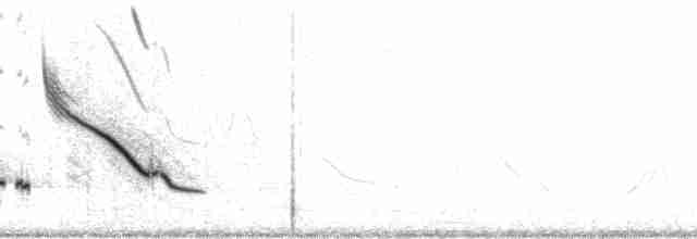 Chihuahuan Meadowlark - ML56853