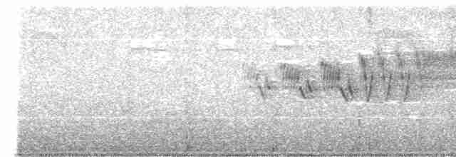 Cerulean Warbler - ML568561641