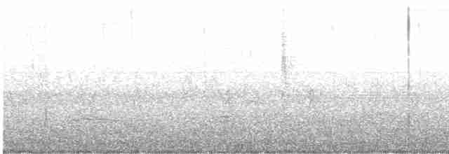 Paruline à calotte noire (chryseola) - ML568698561