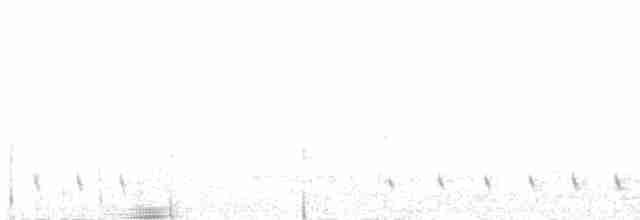 Gray Nightjar - ML568735341