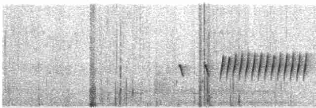 Gray-crowned Warbler - ML568748421