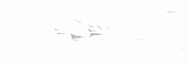 European Pied Flycatcher - ML568781161