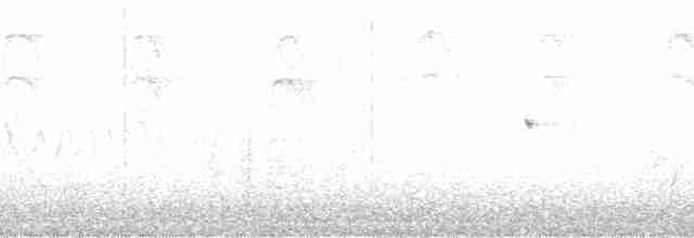 Карнатка чорногорла - ML56879