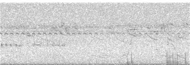 Тиранчик-короткодзьоб південний - ML56881381