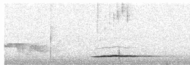 Thicket Tinamou - ML568828941