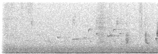 Australian Reed Warbler - ML568876671
