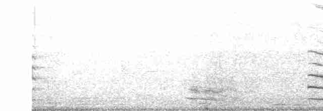 Gallinule à face noire - ML568888281