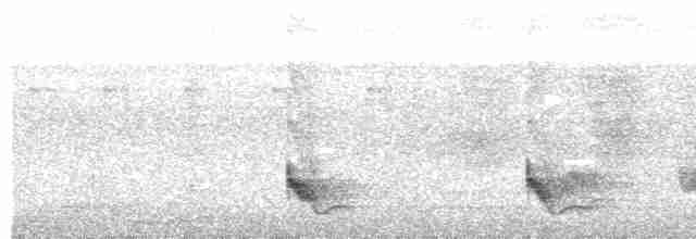 Swallow-tailed Manakin - ML568916231