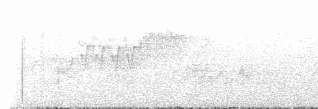 Cerulean Warbler - ML568972181