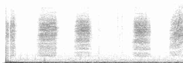 Kiritimati Reed Warbler - ML569009781