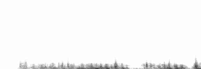 Кузнечиковая овсянка-барсучок - ML569035861