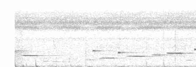 Musician Wren (Gray-eared) - ML569041261