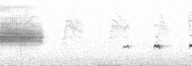 Chaparralgrasmücke - ML56905171