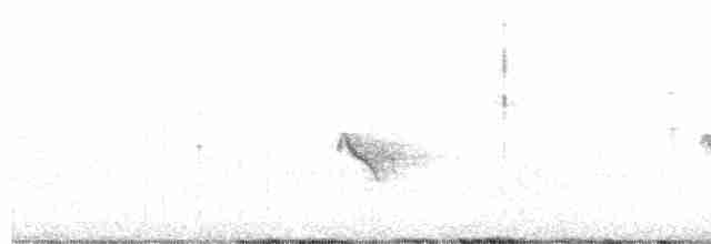 Evening Grosbeak (type 1) - ML569079671