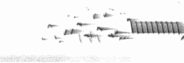 Chochín Hiemal - ML56912271