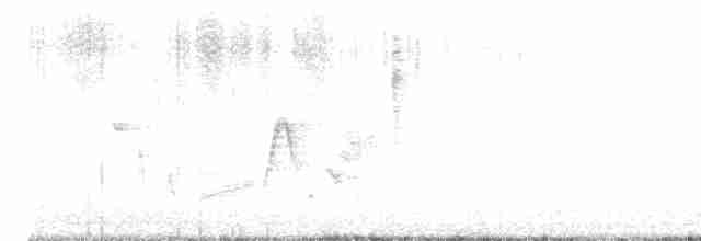 Белоглазый виреон - ML569124721