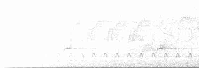 Kentucky Warbler - ML569131801