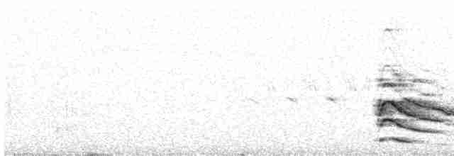Дятел-смоктун білочеревий - ML569156491