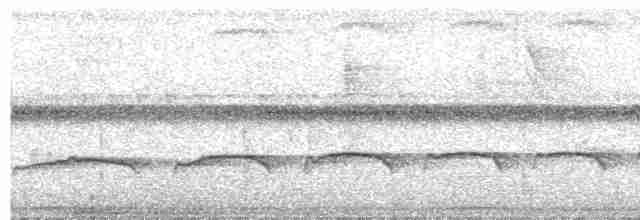 Tufted Antshrike - ML569178201
