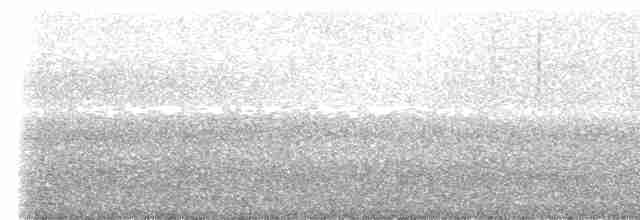Buff-barred Warbler - ML569195101