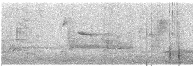 Common Yellowthroat - ML569199561